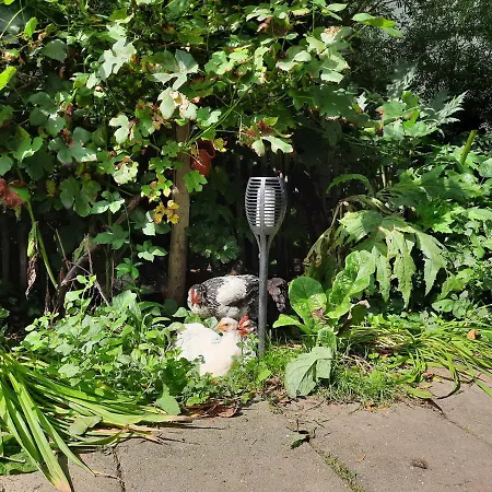 De Akker, Unieke Overnachting In Pipowagens! Holiday home