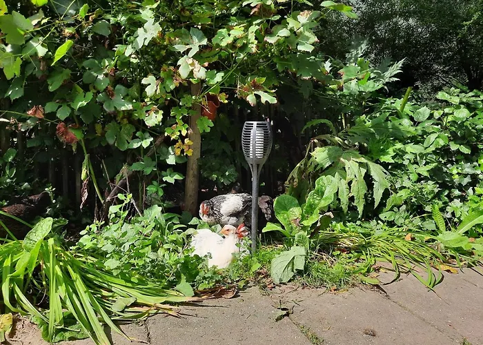 De Akker, Unieke Overnachting In Pipowagens! Semesterbostad